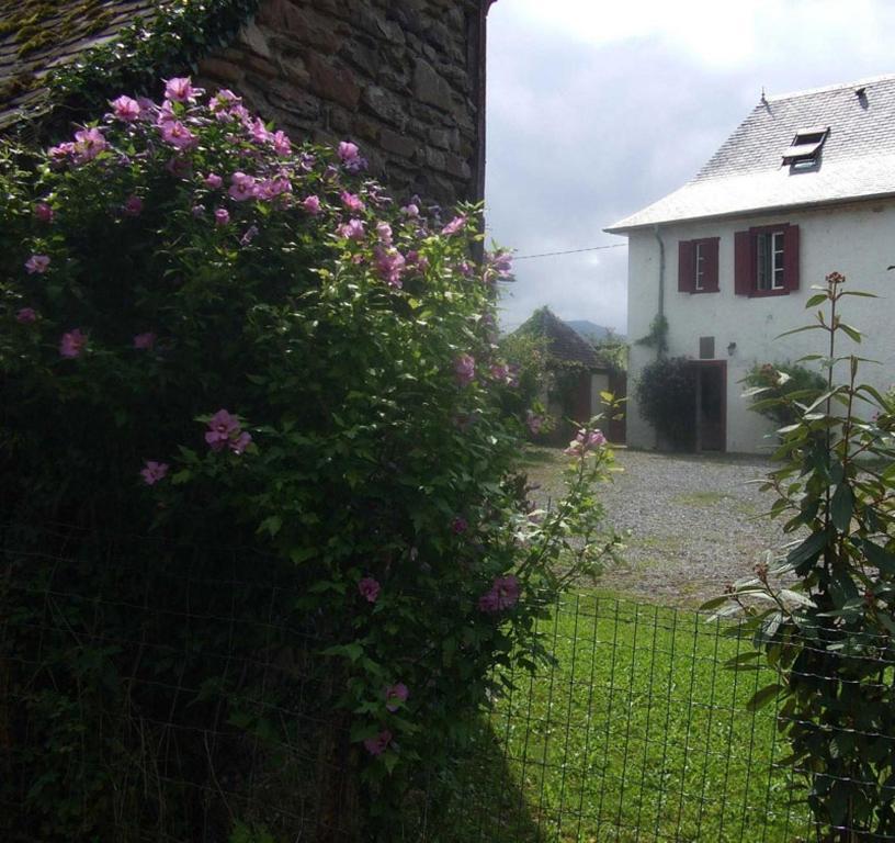 Chambres D'Hotes Maison Paillet Montory Esterno foto